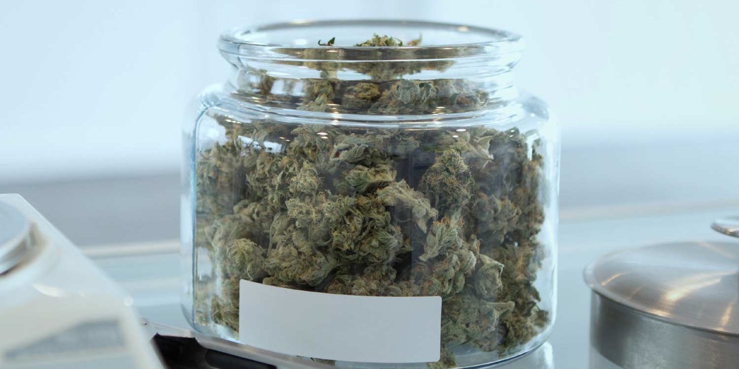 Our Favorite Hybrid Strains For Kicking Off 2020