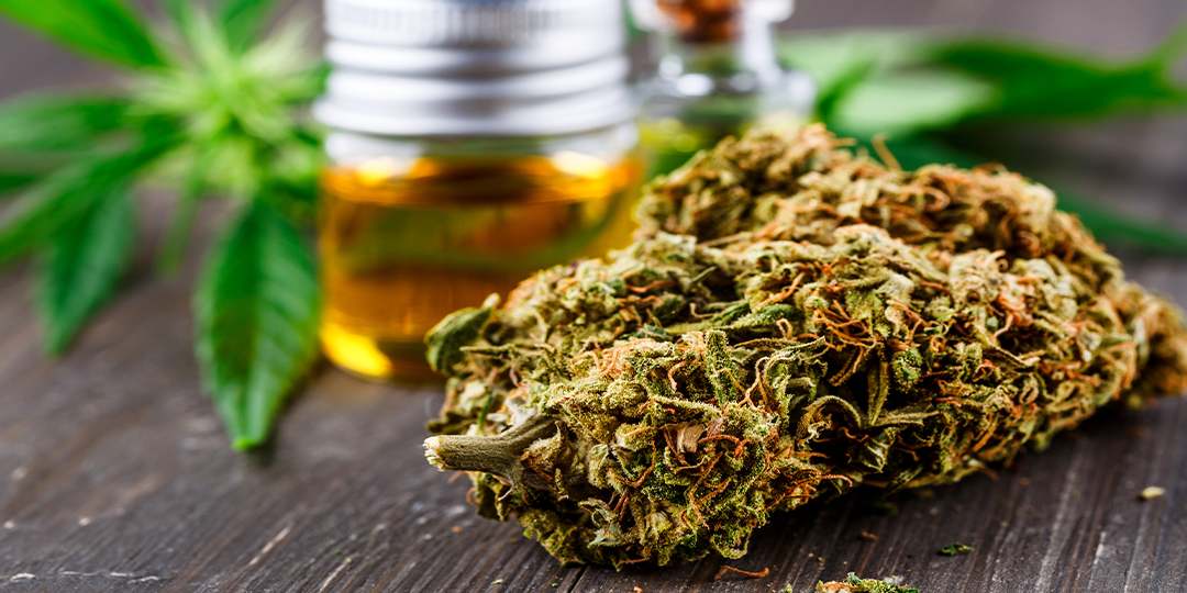 Understanding Cannabis THC Dosing