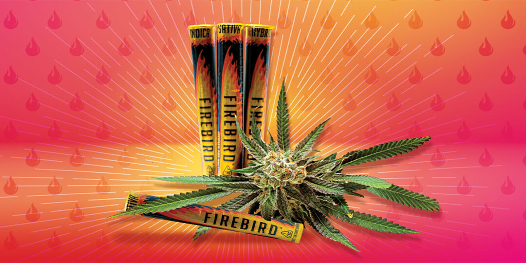 Dive Into Infused Prerolls