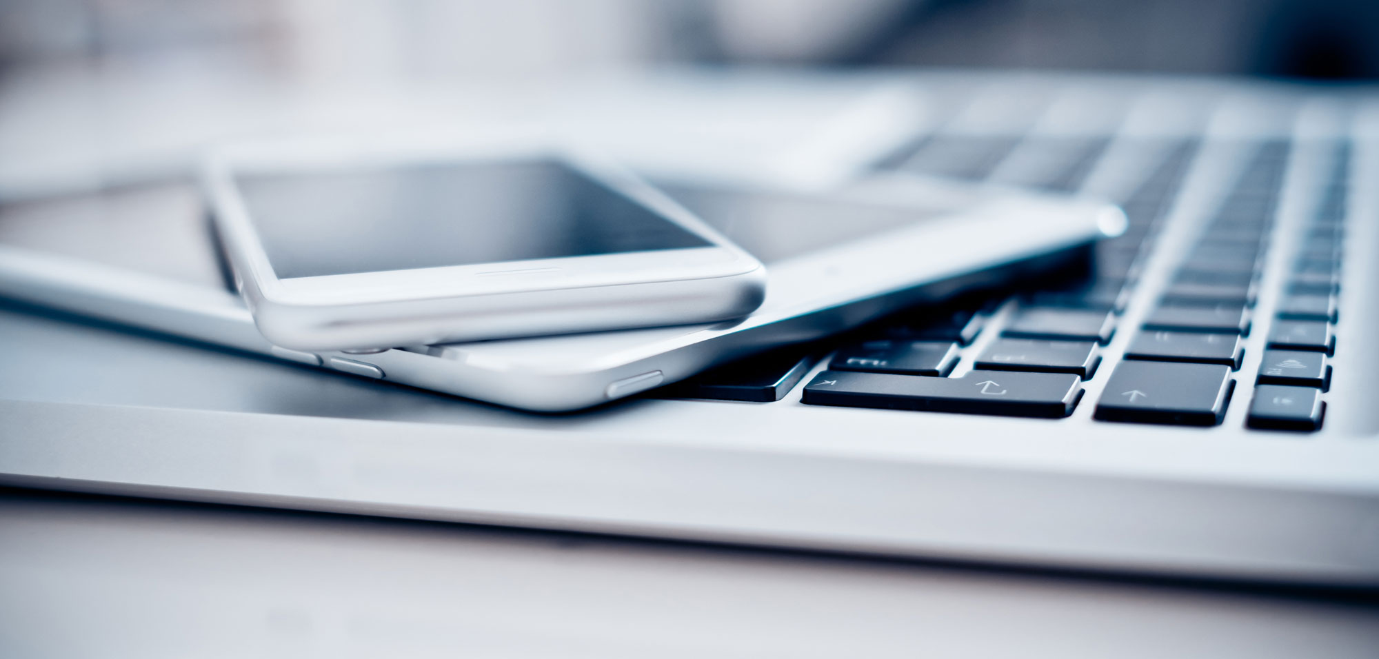 Terms and Condations